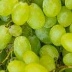 El vino de pitarra extreme&ntilde;o: la tradici&oacute;n rural que reclama su lugar como patrimonio cultural inmaterial