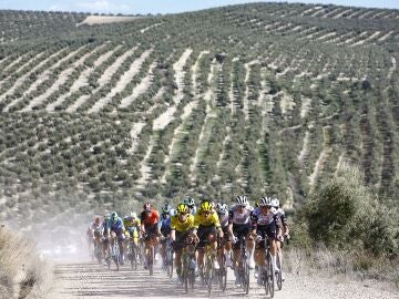 (Foto de ARCHIVO) Los ciclista recorren uno de los 'Caminos de Olivos' de la Cl&aacute;sica Ja&eacute;n Para&iacute;so Interior 2025. REMITIDA / HANDOUT por LUIS ANGEL GOMEZ / SPRINTCYCLING Fotograf&iacute;a remitida a medios de comunicaci&oacute;n exclusivamente para ilustrar la noticia a la que hace referencia la imagen, y citando la procedencia de la imagen en la firma 17/02/2025