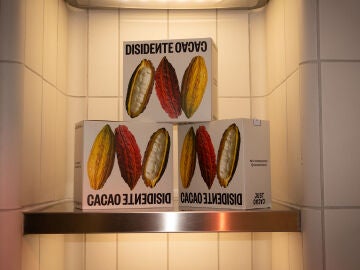 Cacao Disidente