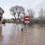 El Duero desbordado a su paso por Tudela de Duero (Valladolid)