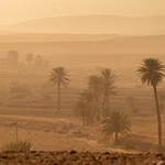 CALIMA EN FUERTEVENTURA
