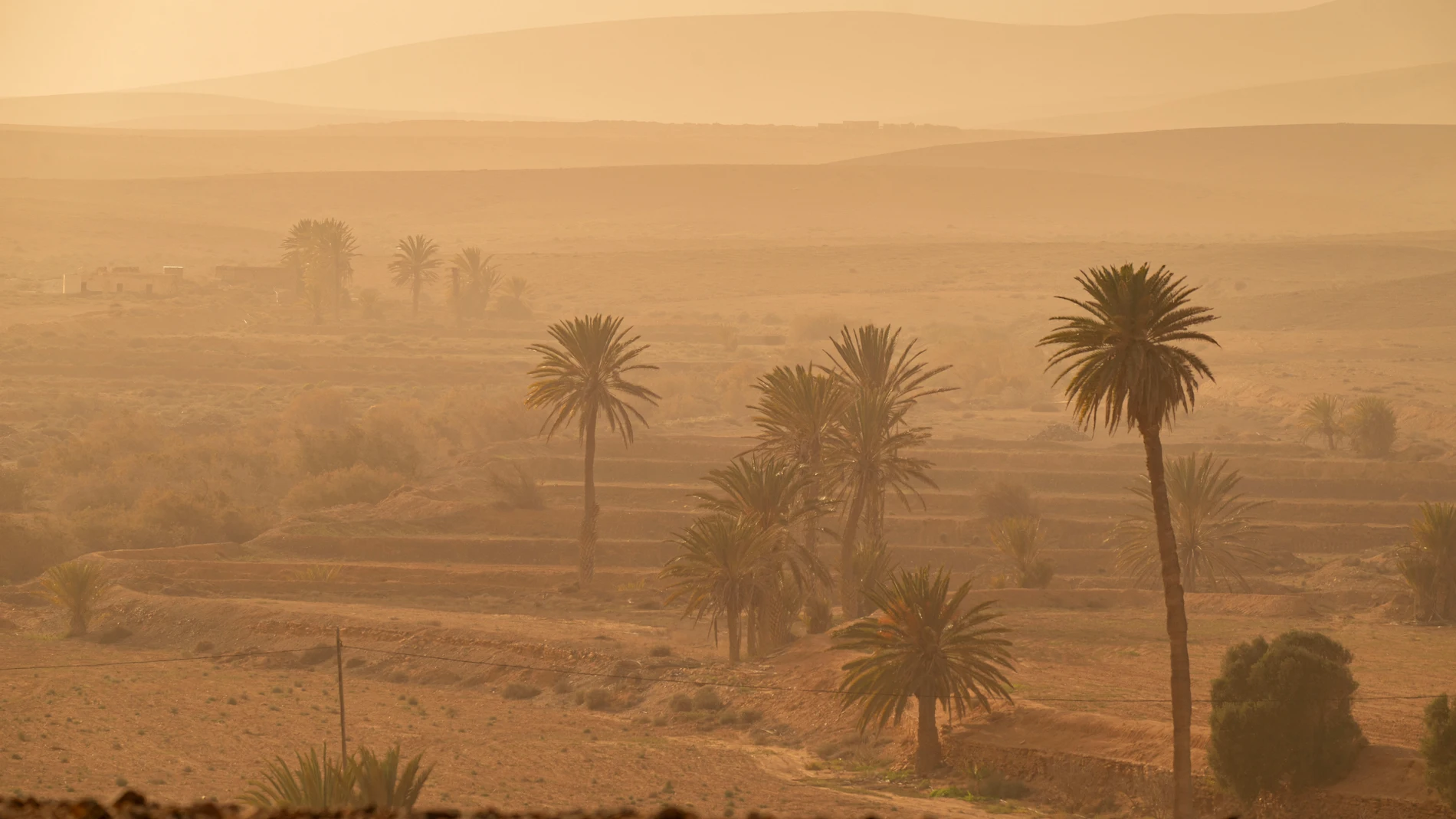The Government of the Canary Islands Issues Heat Alert for This Sunday