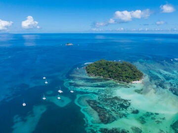El periodista que convirti&oacute; una isla desierta en un para&iacute;so natural en Seychelles