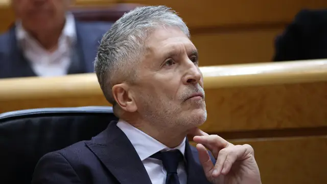 El ministro del Interior, Fernando Grande-Marlaska, durante una sesión plenaria en el Senado El ministro del Interior, Fernando Grande-Marlaska, durante una sesión plenaria en el Senado