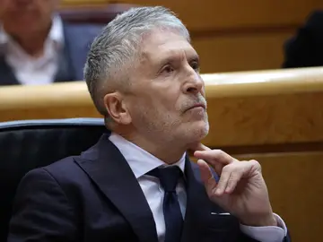 El ministro del Interior, Fernando Grande-Marlaska, durante una sesión plenaria en el Senado El ministro del Interior, Fernando Grande-Marlaska, durante una sesión plenaria en el Senado