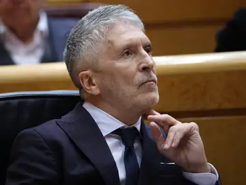 El ministro del Interior, Fernando Grande-Marlaska, durante una sesión plenaria en el Senado El ministro del Interior, Fernando Grande-Marlaska, durante una sesión plenaria en el Senado