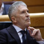 El ministro del Interior, Fernando Grande-Marlaska, durante una sesi&oacute;n plenaria en el Senado