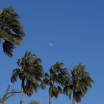 Temporal.- Catalu&ntilde;a activa el plan Ventcat por fuerte viento a partir de este mi&eacute;rcoles por la noche