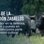 La Fundaci&oacute;n Zaballos premia a la Fundaci&oacute;n Toro de Lidia por blindar el toro en la cultura espa&ntilde;ola