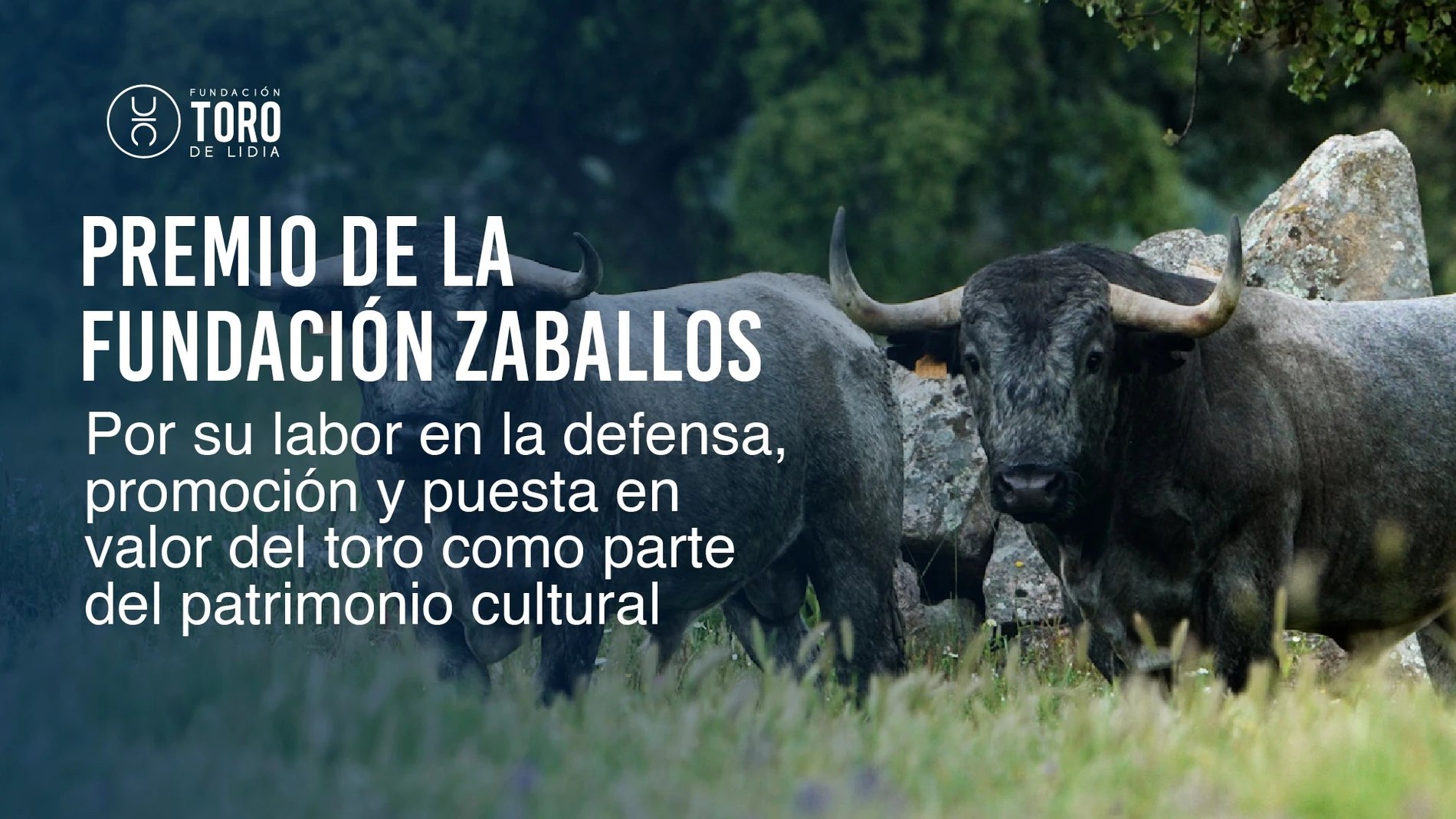 La Fundación Zaballos premia a la Fundación Toro de Lidia por blindar el toro en la cultura española
