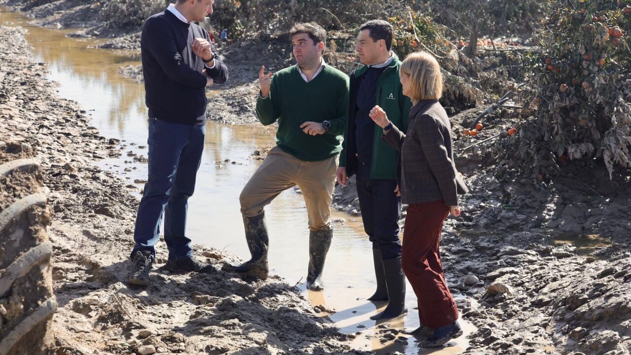 «Compromiso» de la UE ante las pérdidas de la agricultura en Andalucía