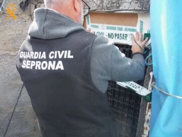 La Guardia Civil desmantela un laboratorio clandestino en Las Palmas de Gran Canaria