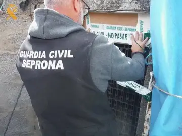 La Guardia Civil alucina con lo que vendían desde un negocio clandestino en Gran Canaria La Guardia Civil desmantela un laboratorio clandestino en Las Palmas de Gran Canaria