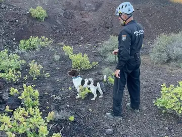 Hallan muerto en Gran Canaria al hombre de 76 años cuya desaparición había sido denunciada Hallan muerto en Gran Canaria al hombre de 76 años cuya desaparición había sido denunciada