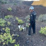 Hallan muerto en Gran Canaria al hombre de 76 a&ntilde;os cuya desaparici&oacute;n hab&iacute;a sido denunciada