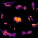 Una selecci&oacute;n de l&oacute;bulos de radio alimentados por agujeros negros supermasivos