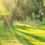 El anticicl&oacute;n desata un "veranillo invernal" en Espa&ntilde;a: estas son las zonas a las que no afectar&aacute; el ascenso t&eacute;rmico generalizado