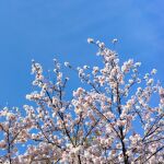 Contin&uacute;a el "veranillo invernal": Espa&ntilde;a hierve bajo el mando del anticicl&oacute;n, estas son las &uacute;nicas zonas que se salvan del calor