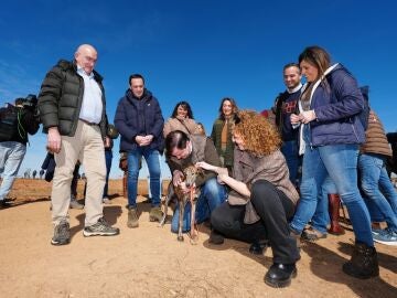 El presidente y candidato del Partido Popular, Alfonso Fern&aacute;ndez Ma&ntilde;ueco, saluda a la galga zamorana Uva de El Verdejo, en presencia de Mar&iacute;a Gonz&aacute;lez Corral, Conrado &Iacute;scar, Jes&uacute;s Julio Carnero y Mar&iacute;a Pardo, entre otros