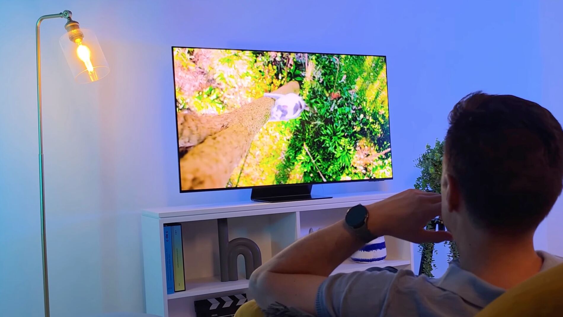 Samsung hunde una de sus mejores televisiones OLED: de 2199 a 1040 euros esta magnifica smart TV de 65 pulgadas
