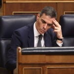 El presidente del Gobierno, Pedro S&aacute;nchez, en una sesi&oacute;n de control en el Congreso de los Diputados