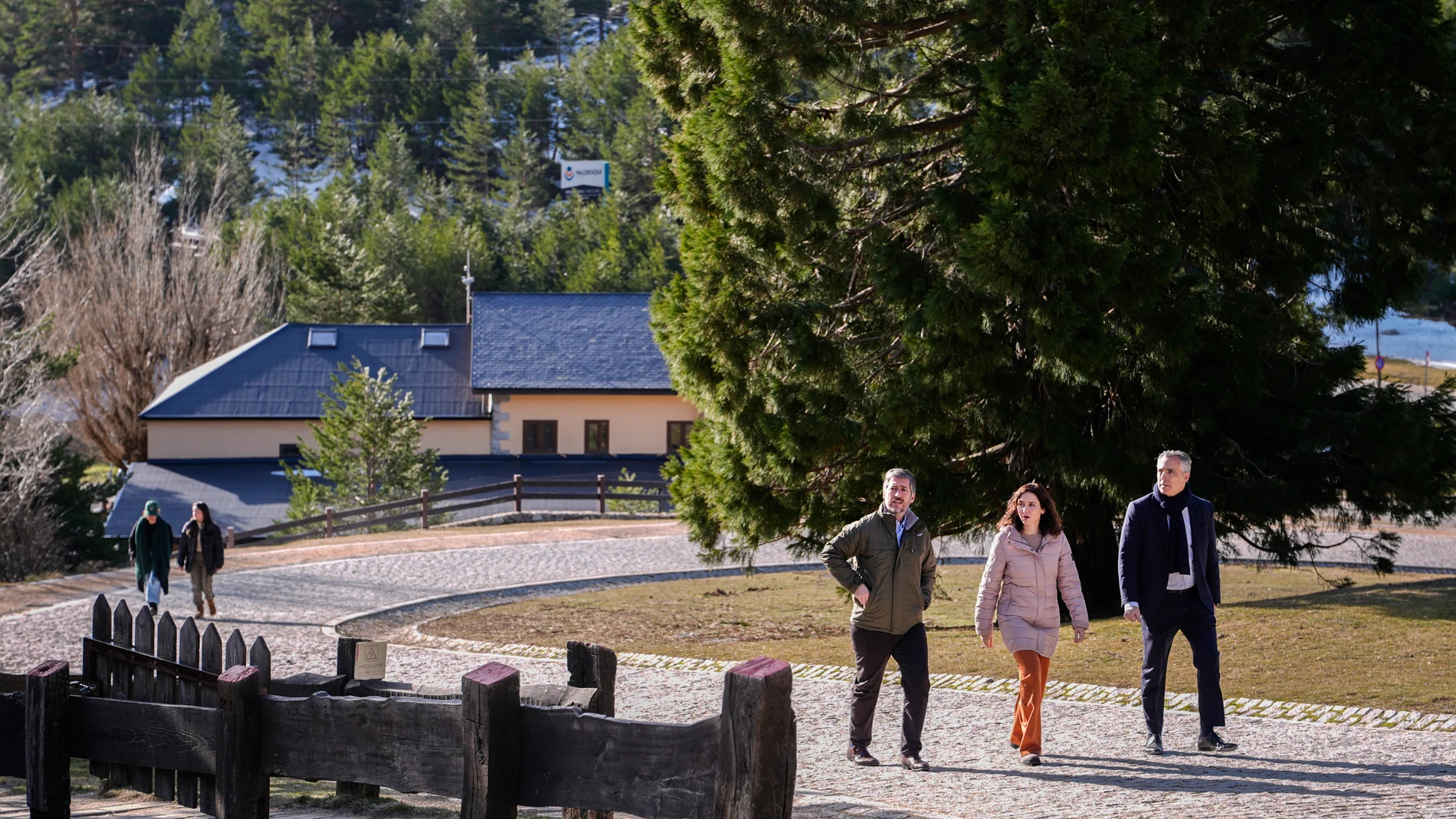 La Comunidad declara el 2026 como el Año del Medio Ambiente