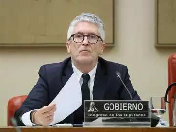 Marlaska anuncia la revisión el protocolo de acoso sexual de la Policía para saber por qué la víctima del DAO no lo usó Marlaska anuncia la revisión el protocolo de acoso sexual de la Policía para saber por qué la víctima del DAO no lo usó