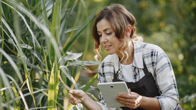 Banco Santander y el campo espa&ntilde;ol: 5.800 millones para sostener la transformaci&oacute;n agroalimentaria