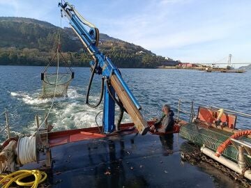 Imagen del desarrollo del proyecto. 