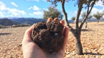 Barbastro potencia su excelencia gastron&oacute;mica con una nueva edici&oacute;n de los S&aacute;bados con Sabor