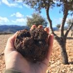 Barbastro potencia su excelencia gastron&oacute;mica con una nueva edici&oacute;n de los S&aacute;bados con Sabor