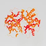 Investigadores dise&ntilde;an p&eacute;ptidos que responden ante se&ntilde;ales de c&aacute;ncer