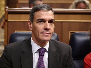 El presidente del Gobierno, Pedro S&aacute;nchez