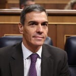 El presidente del Gobierno, Pedro S&aacute;nchez