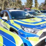 Veh&iacute;culos de la Polic&iacute;a Local de Sevilla