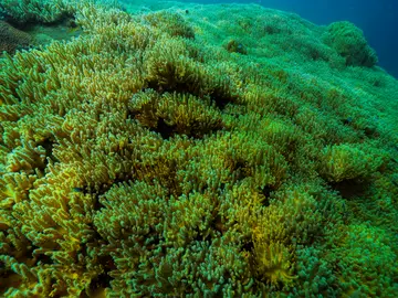 Además del agua que vemos, podría haber reservas atrapadas a kilómetros de profundidad Además del agua que vemos, podría haber reservas atrapadas a kilómetros de profundidad