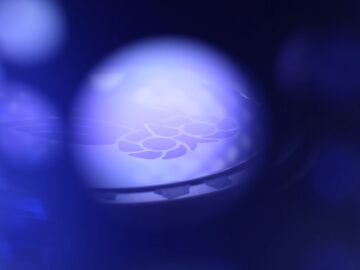 La gesti&oacute;n del calor define el dise&ntilde;o de multitud de dispositivos, de ah&iacute; su importancia