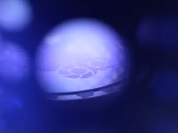 La gestión del calor define el diseño de multitud de dispositivos, de ahí su importancia La gestión del calor define el diseño de multitud de dispositivos, de ahí su importancia