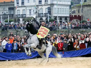 Representación de una de las justas en la playa. Representación de una de las justas en la playa.