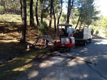 La Comunidad invertirá 770.000 euros en restaurar ecosistemas en huecos mineros, robledales y hábitats de alta montaña La Comunidad invertirá 770.000 euros en restaurar ecosistemas en huecos mineros, robledales y hábitats de alta montaña