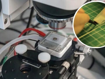 Reducir el tama&ntilde;o de los chips y conservar su eficiencia y &oacute;ptimo funcionamiento es clave