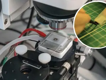 Reducir el tamaño de los chips y conservar su eficiencia y óptimo funcionamiento es clave Reducir el tamaño de los chips y conservar su eficiencia y óptimo funcionamiento es clave