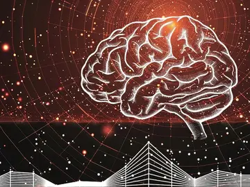 Cerebro humano Cerebro humano