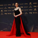 Ceremonia de entrega de la 40&ordm; edici&oacute;n de los Premios Goya