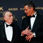 Ceremonia de entrega de la 40&ordm; edici&oacute;n de los Premios Goya