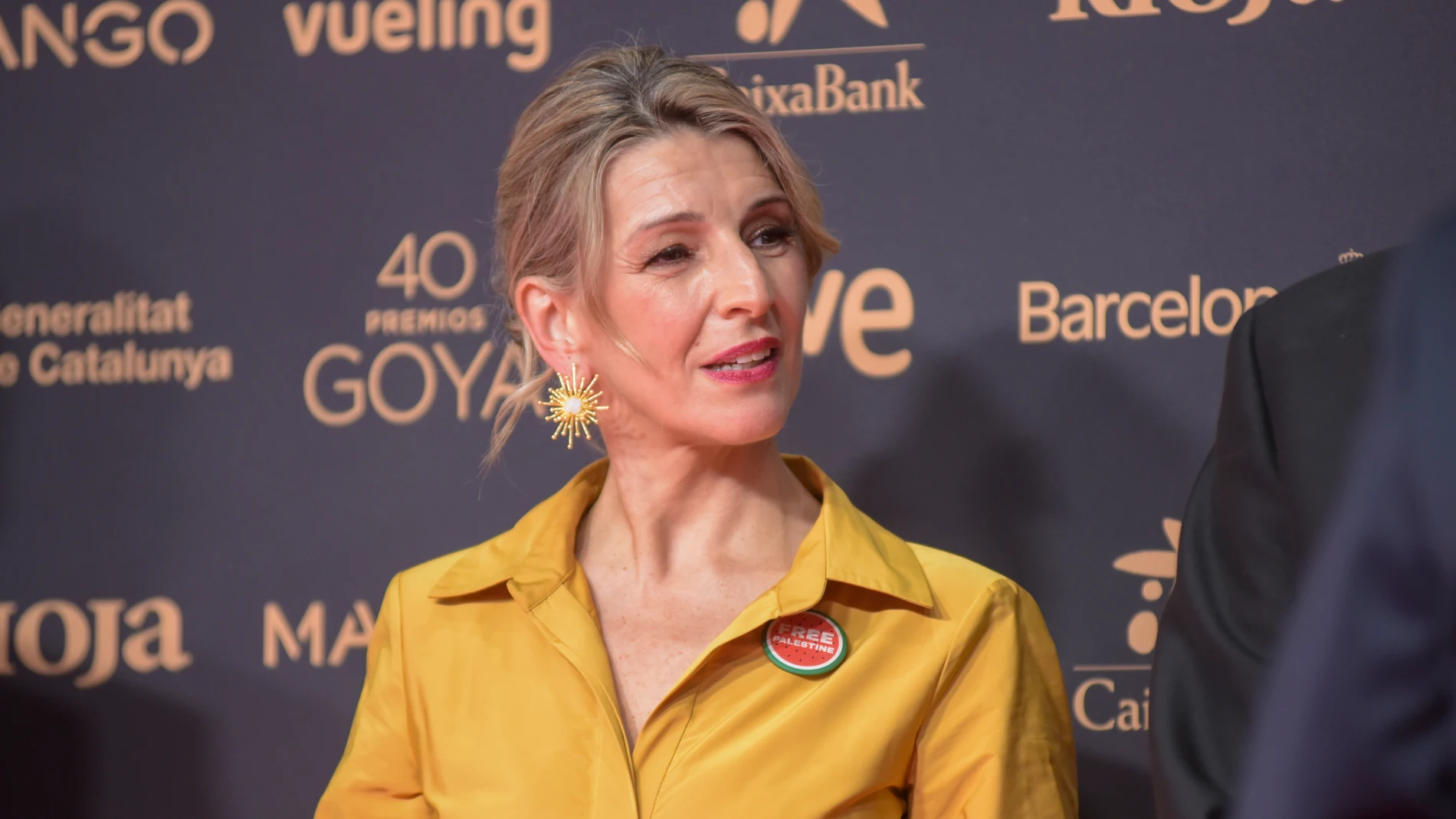 La vicepresidenta segunda y ministra de Trabajo y Economía Social, Yolanda Díaz, posa en la alfombra roja de la 40º edición de los Premios Goya, en el Auditori del Centre de Convencions Internacionals, a 28 de febrero de 2026, en Barcelona, Cataluña (España). Los galardones son otorgados de manera anual por la Academia de las Artes y las Ciencias Cinematográficas de España (AACCE) con el objetivo de premiar a los mejores profesionales en cada una de las distintas especialidades tanto técnicas...