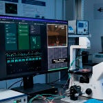 C&eacute;lulas cerebrales humanas cultivadas jugando a DOOM