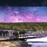 De 3700 euros a solo 1300: esta Smart TV 4K de 65 pulgadas de Samsung toca su precio m&iacute;nimo hist&oacute;rico en PcComponentes