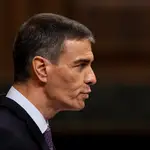 El presidente del Gobierno, Pedro Sánchez, interviene durante un pleno extraordinario en el Congreso de los Diputados