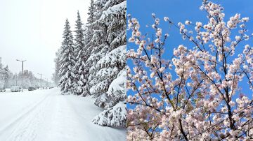 Imagen de archivo del invierno y la primavera